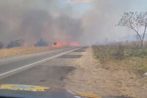 No RN incêndio interditou BR-406, em Ceará-Mirim